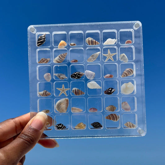 Tiny Treasures™ - Seashell Display
